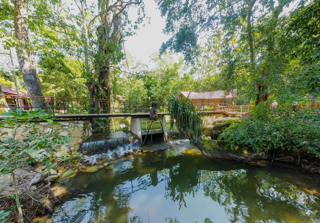 Cabanas Kin Balam Palenque Zewnętrze zdjęcie
